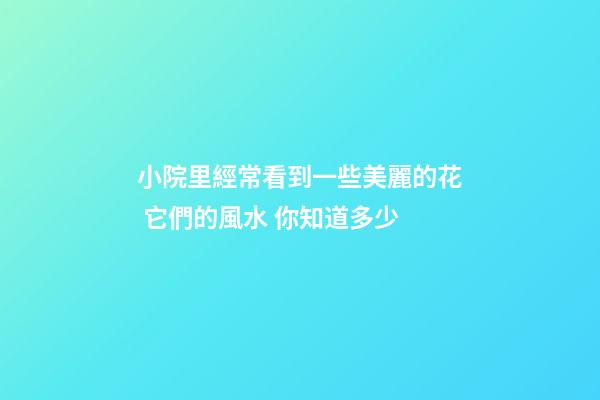 小院里經常看到一些美麗的花 它們的風水 你知道多少
